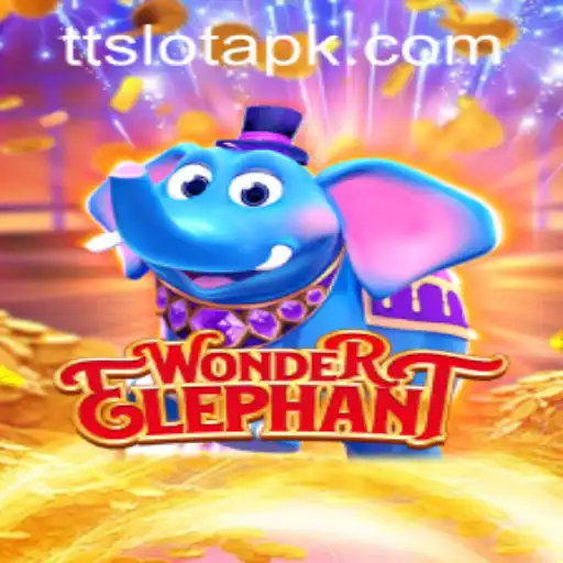 Introducing WonderElephant: A New Adventure Awaits